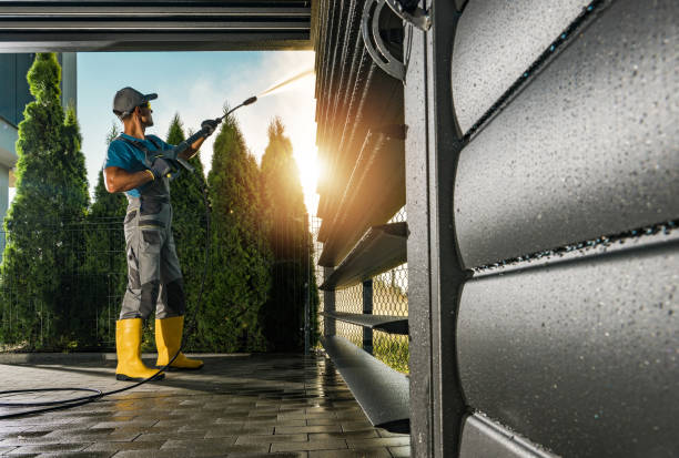 Animal Enclosure Cleaning in Newport, DE